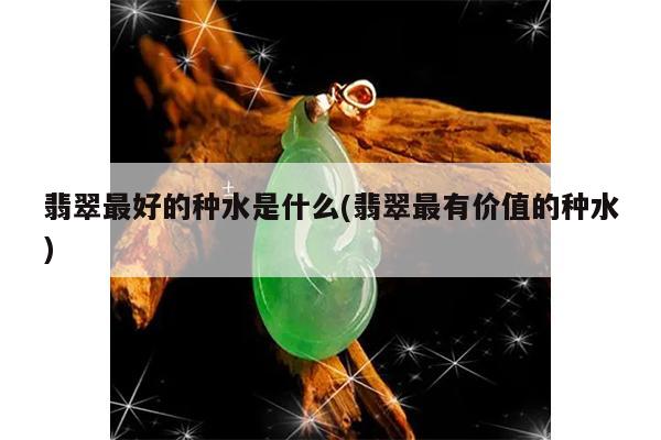 翡翠最好的种水是什么(翡翠最有价值的种水)