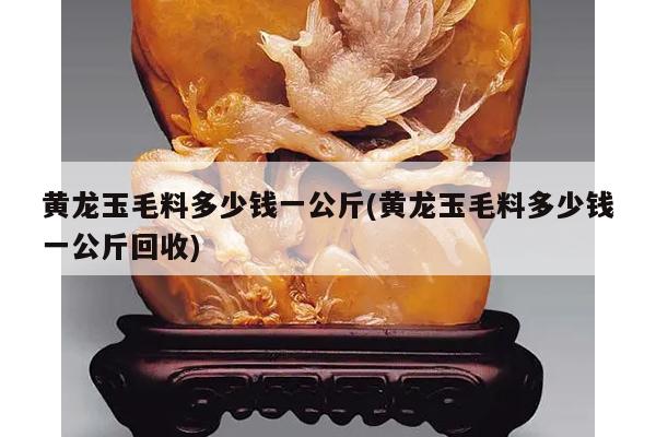 黄龙玉毛料多少钱一公斤(黄龙玉毛料多少钱一公斤回收)