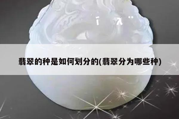 翡翠的种是如何划分的(翡翠分为哪些种)