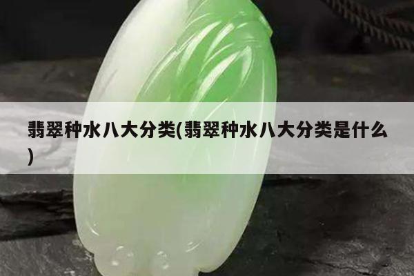 翡翠种水八大分类(翡翠种水八大分类是什么)