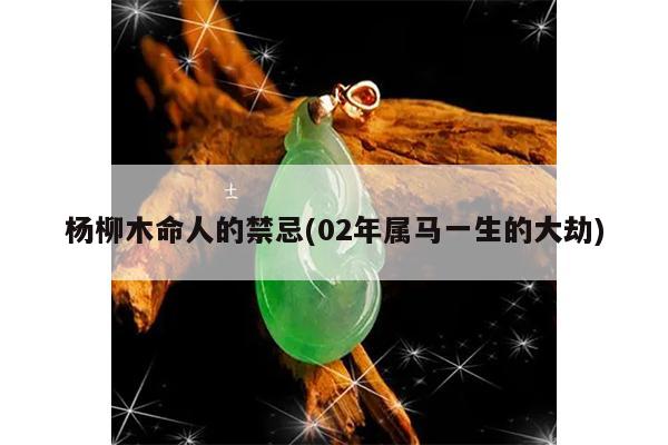 杨柳木命人的禁忌(02年属马一生的大劫)