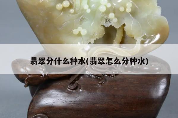 翡翠分什么种水(翡翠怎么分种水)