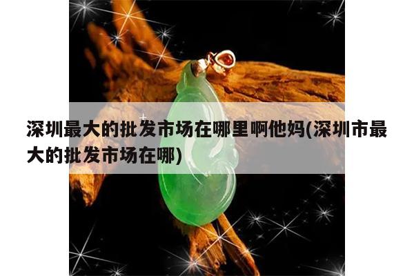 深圳最大的批发市场在哪里啊他妈(深圳市最大的批发市场在哪)