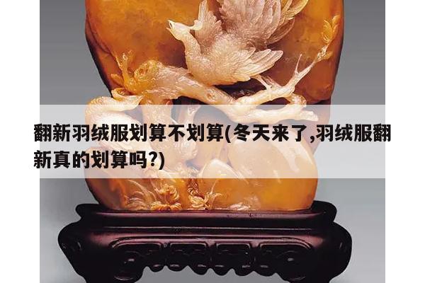 翻新羽绒服划算不划算(冬天来了,羽绒服翻新真的划算吗?)