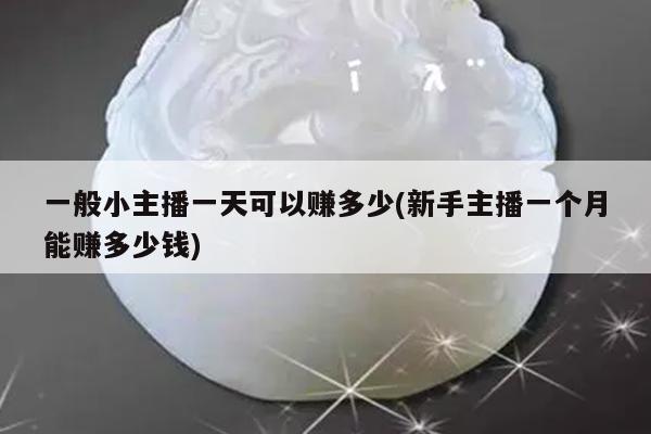 一般小主播一天可以赚多少(新手主播一个月能赚多少钱)