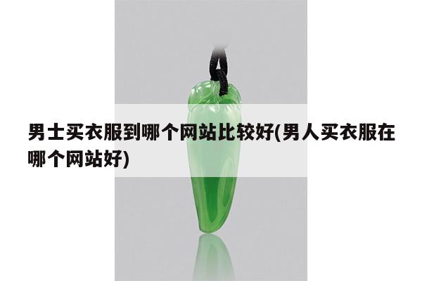 男士买衣服到哪个网站比较好(男人买衣服在哪个网站好)