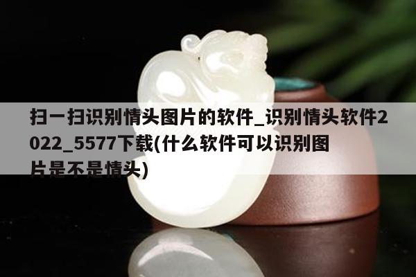 扫一扫识别情头图片的软件_识别情头软件2022_5577下载(什么软件可以识别图片是不是情头)