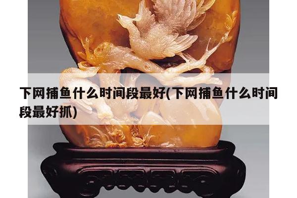 下网捕鱼什么时间段最好(下网捕鱼什么时间段最好抓)