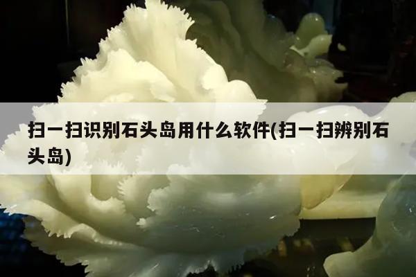 扫一扫识别石头岛用什么软件(扫一扫辨别石头岛)