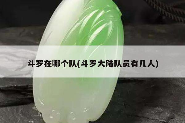 斗罗在哪个队(斗罗大陆队员有几人)