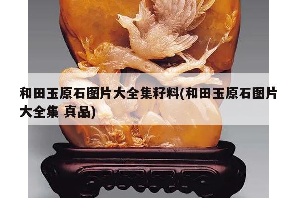 和田玉原石图片大全集籽料(和田玉原石图片大全集 真品)