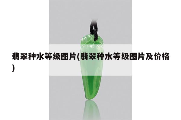 翡翠种水等级图片(翡翠种水等级图片及价格)