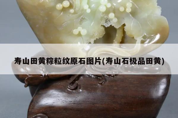 寿山田黄粽粒纹原石图片(寿山石极品田黄)