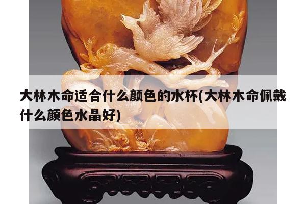 大林木命适合什么颜色的水杯(大林木命佩戴什么颜色水晶好)