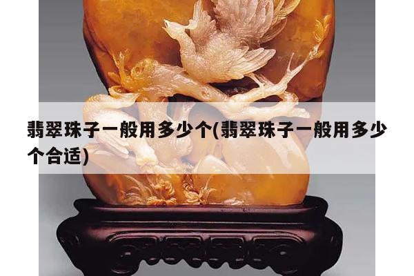翡翠珠子一般用多少个(翡翠珠子一般用多少个合适)