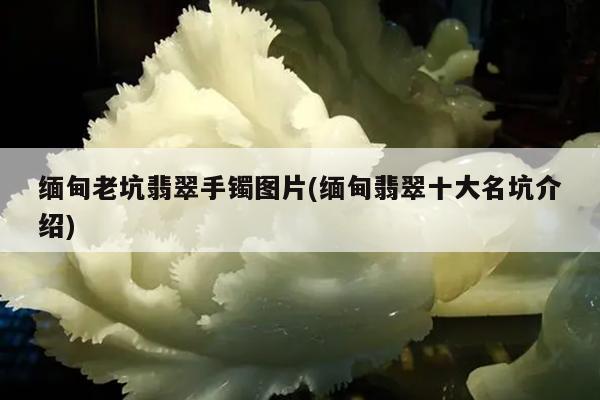 缅甸老坑翡翠手镯图片(缅甸翡翠十大名坑介绍)