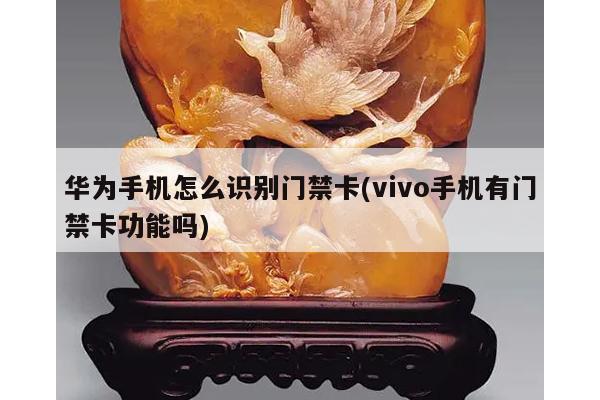 华为手机怎么识别门禁卡(vivo手机有门禁卡功能吗)