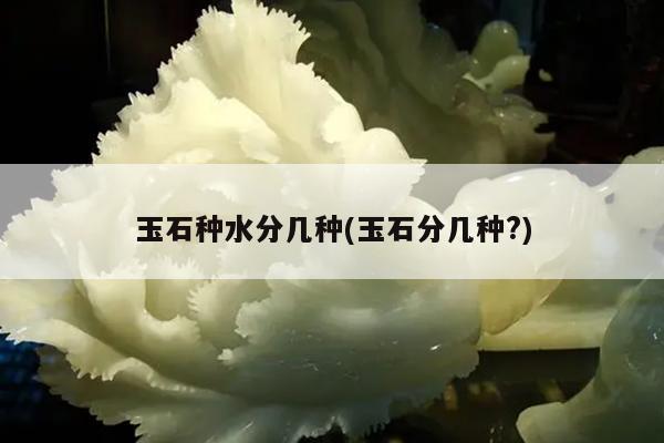 玉石种水分几种(玉石分几种?)