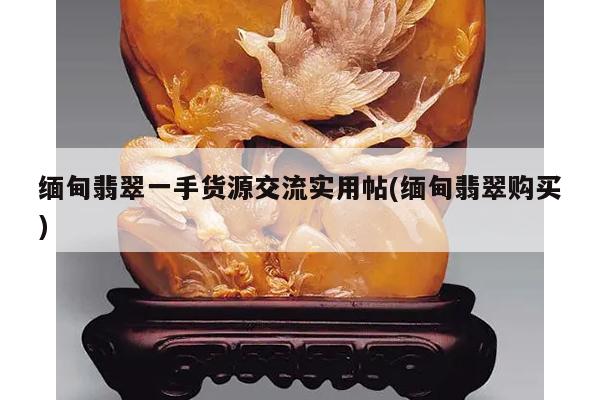 缅甸翡翠一手货源交流实用帖(缅甸翡翠购买)