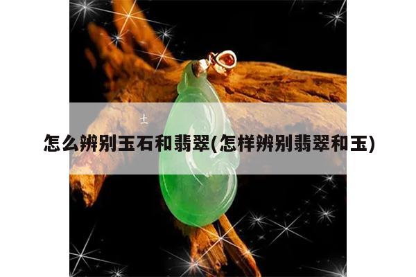 怎么辨别玉石和翡翠(怎样辨别翡翠和玉)