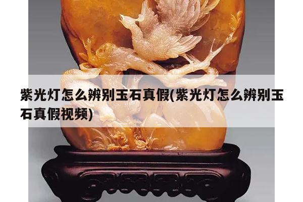 紫光灯怎么辨别玉石真假(紫光灯怎么辨别玉石真假视频)