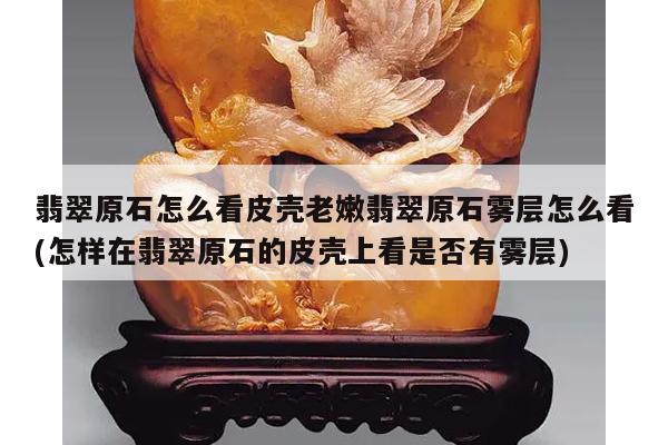 翡翠原石怎么看皮壳老嫩翡翠原石雾层怎么看(怎样在翡翠原石的皮壳上看是否有雾层)