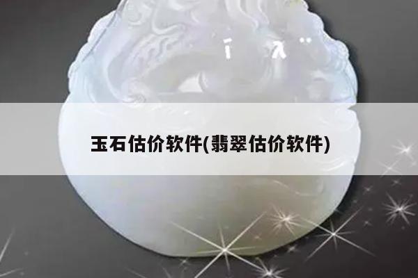 玉石估价软件(翡翠估价软件)