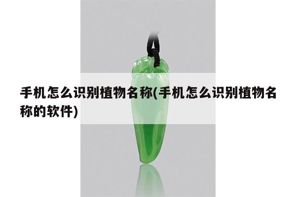 手机怎么识别植物名称(手机怎么识别植物名称的软件)