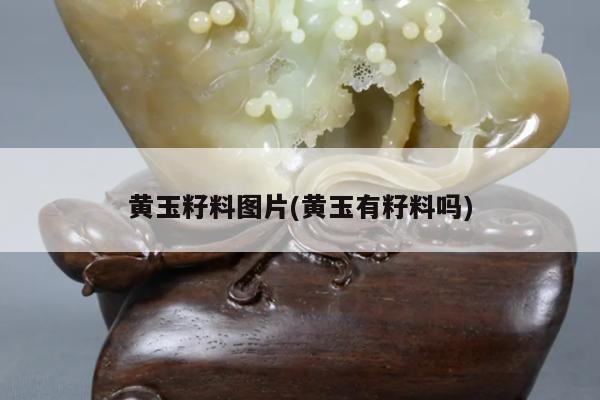 黄玉籽料图片(黄玉有籽料吗)