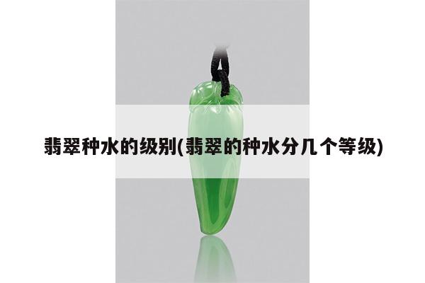 翡翠种水的级别(翡翠的种水分几个等级)