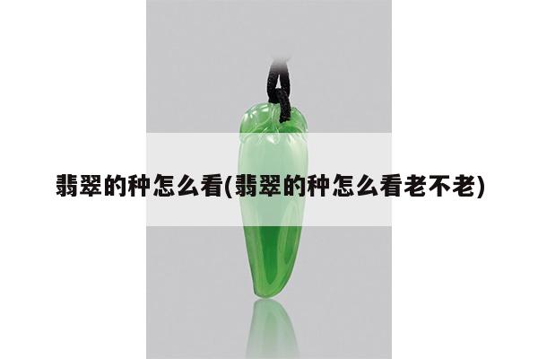 翡翠的种怎么看(翡翠的种怎么看老不老)