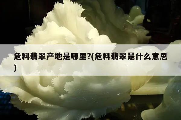 危料翡翠产地是哪里?(危料翡翠是什么意思)