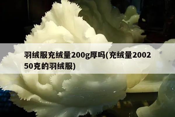 羽绒服充绒量200g厚吗(充绒量200250克的羽绒服)