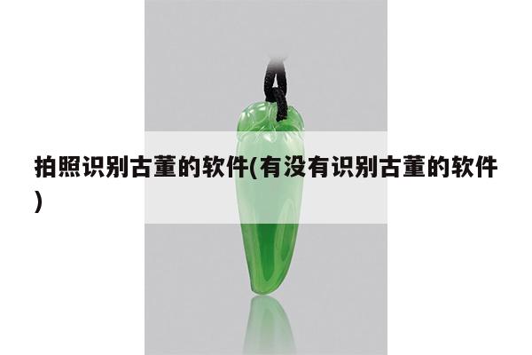 拍照识别古董的软件(有没有识别古董的软件)