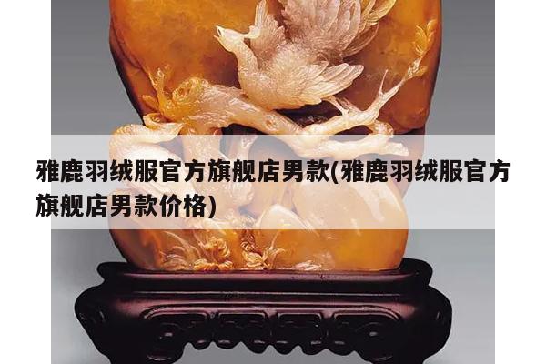 雅鹿羽绒服官方旗舰店男款(雅鹿羽绒服官方旗舰店男款价格)