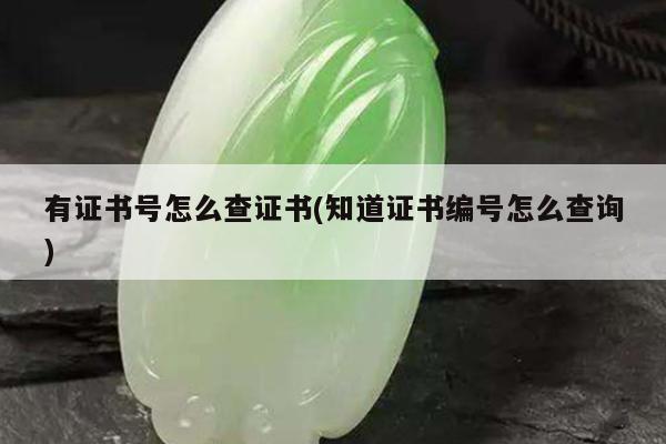 有证书号怎么查证书(知道证书编号怎么查询)