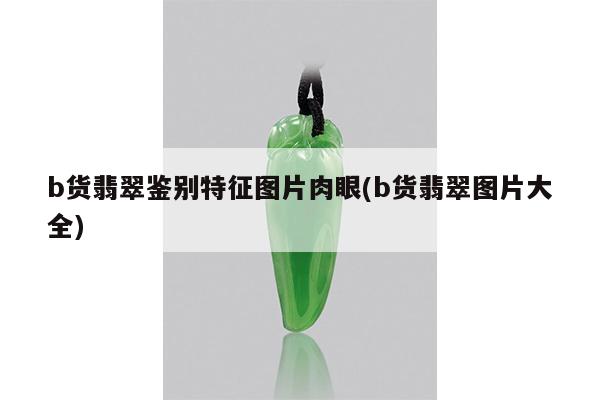 b货翡翠鉴别特征图片肉眼(b货翡翠图片大全)