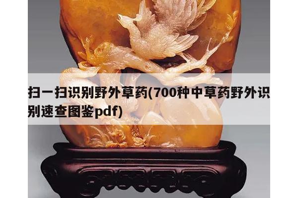 扫一扫识别野外草药(700种中草药野外识别速查图鉴pdf)