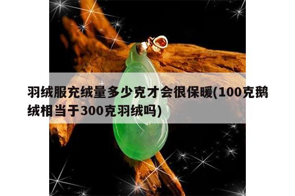 羽绒服充绒量多少克才会很保暖(100克鹅绒相当于300克羽绒吗)