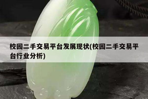 校园二手交易平台发展现状(校园二手交易平台行业分析)