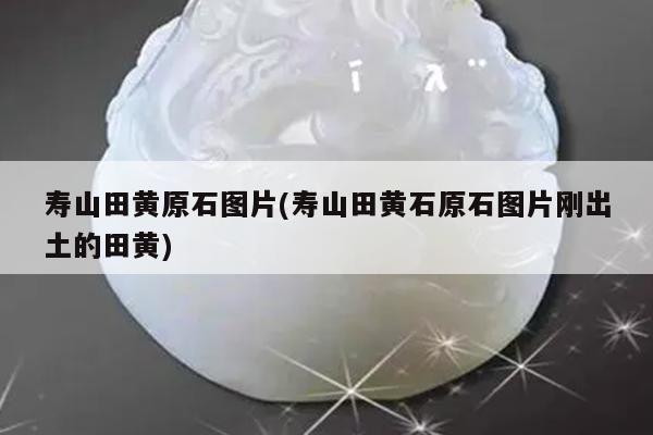 寿山田黄原石图片(寿山田黄石原石图片刚出土的田黄)