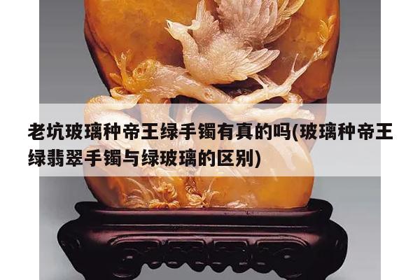 老坑玻璃种帝王绿手镯有真的吗(玻璃种帝王绿翡翠手镯与绿玻璃的区别)