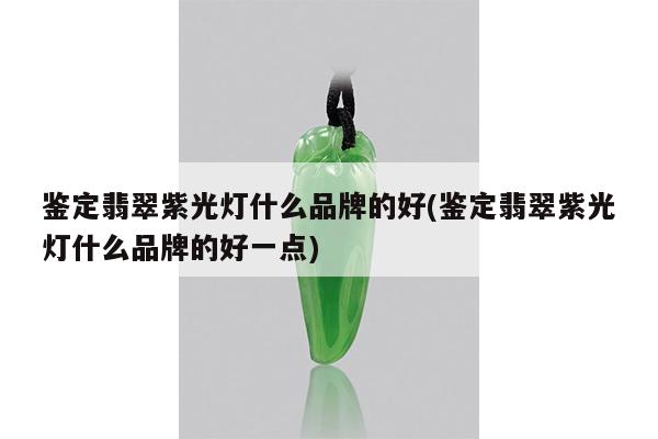 鉴定翡翠紫光灯什么品牌的好(鉴定翡翠紫光灯什么品牌的好一点)