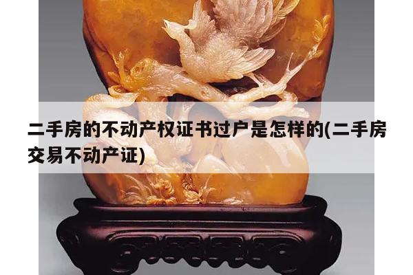 二手房的不动产权证书过户是怎样的(二手房交易不动产证)