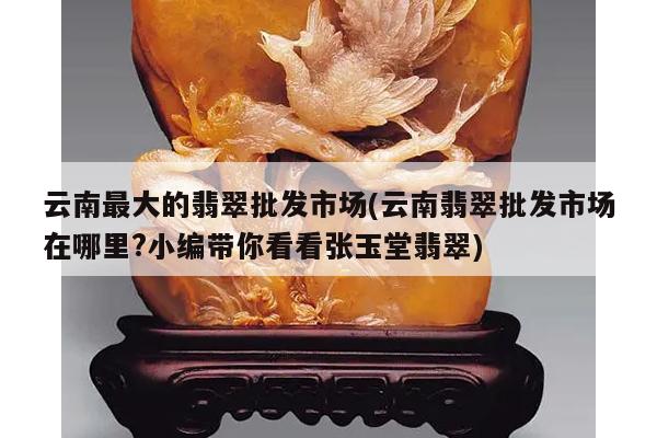 云南最大的翡翠批发市场(云南翡翠批发市场在哪里?小编带你看看张玉堂翡翠)