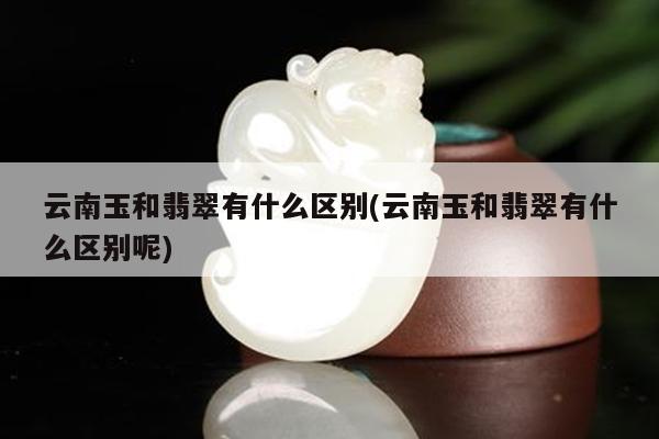 云南玉和翡翠有什么区别(云南玉和翡翠有什么区别呢)