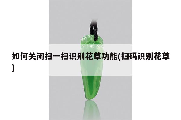 如何关闭扫一扫识别花草功能(扫码识别花草)