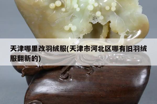 天津哪里改羽绒服(天津市河北区哪有旧羽绒服翻新的)