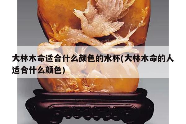 大林木命适合什么颜色的水杯(大林木命的人适合什么颜色)
