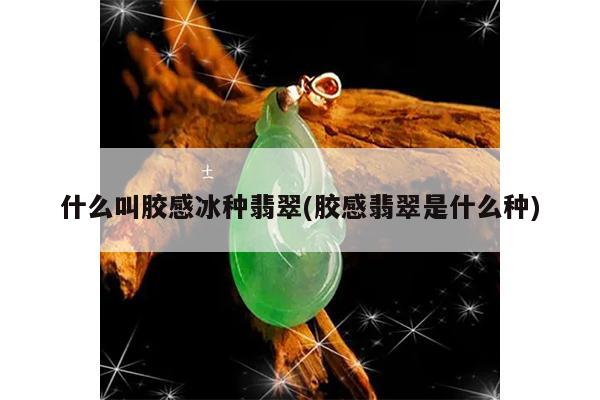 什么叫胶感冰种翡翠(胶感翡翠是什么种)